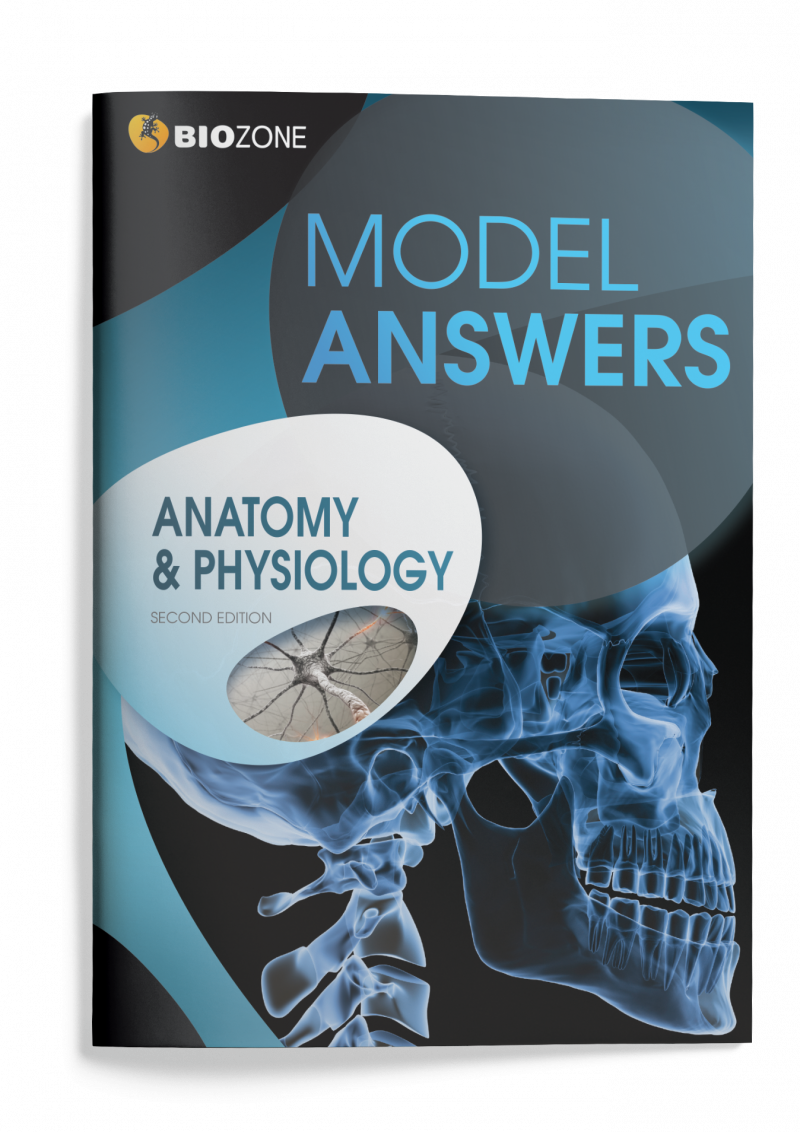 Anatomy and Physiology - Model Answers