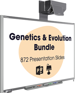 bundle of presentation slides available