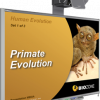 human evolution presentation media