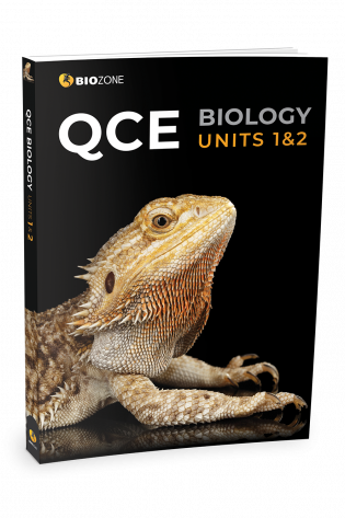 QCE12