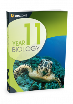 year 11 biology biozone book
