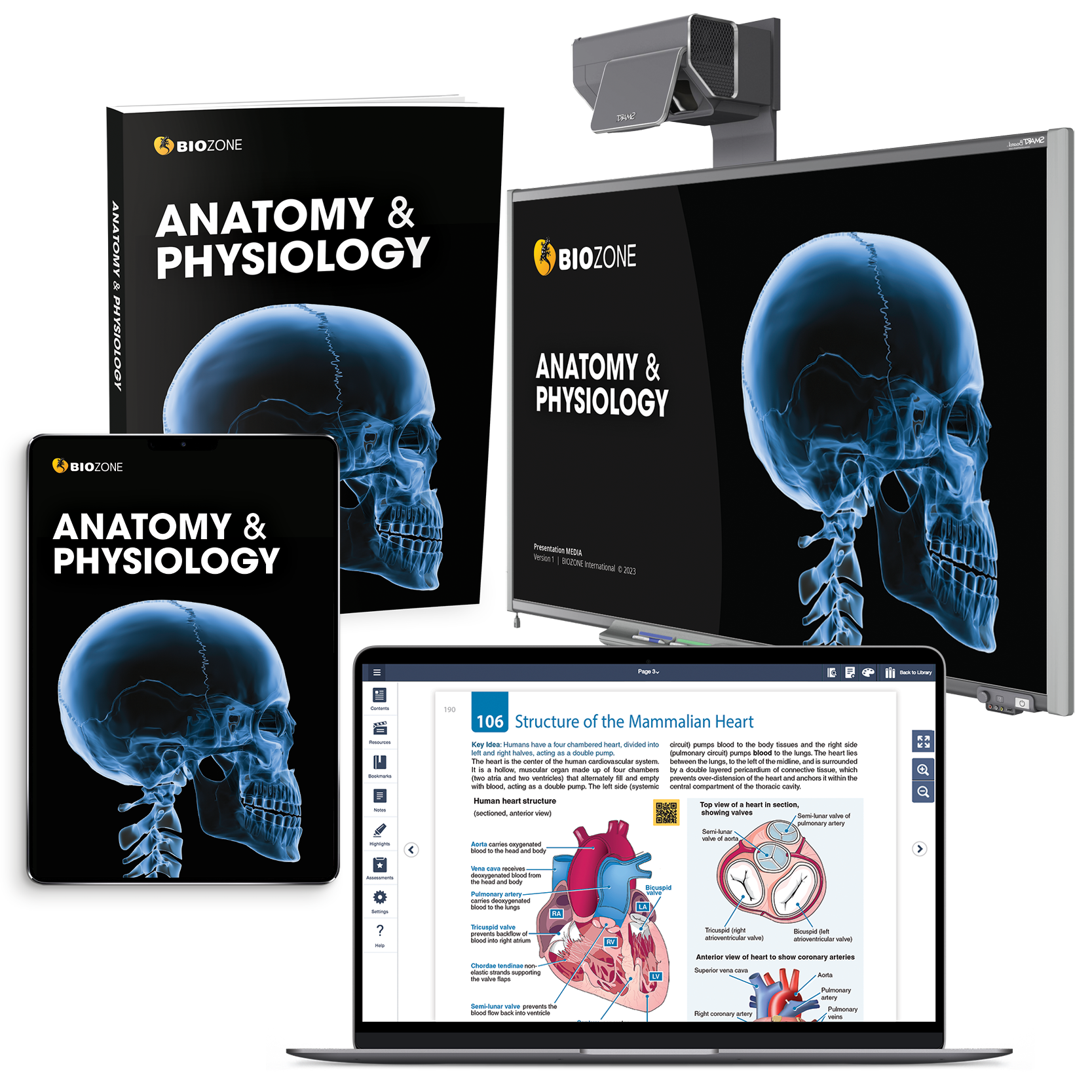 anatomy and physiology resources