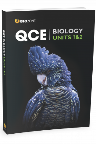 QCE11-2 3D Book