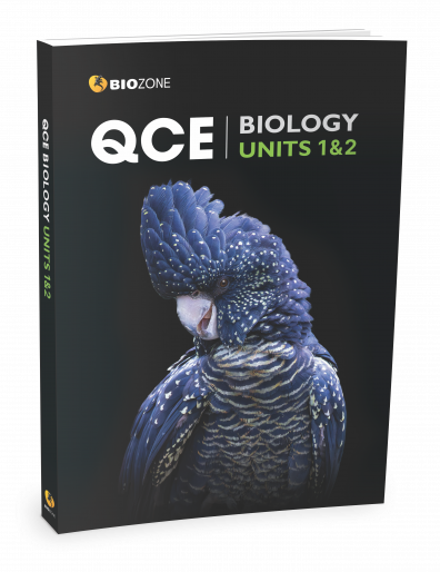 QCE11-2 3D Book