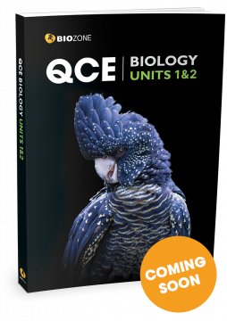 2nd edition qce