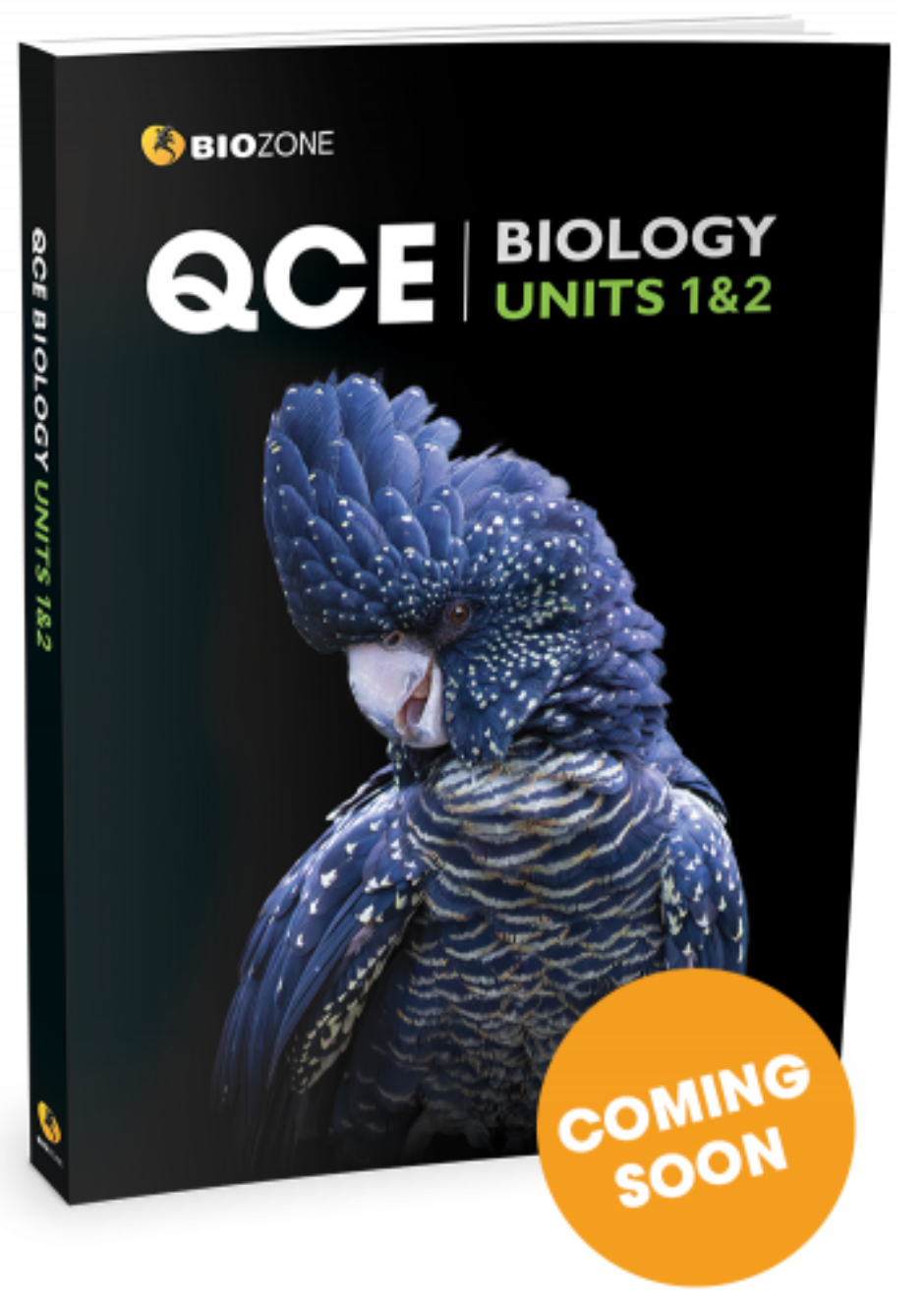 QCE new edition worktext