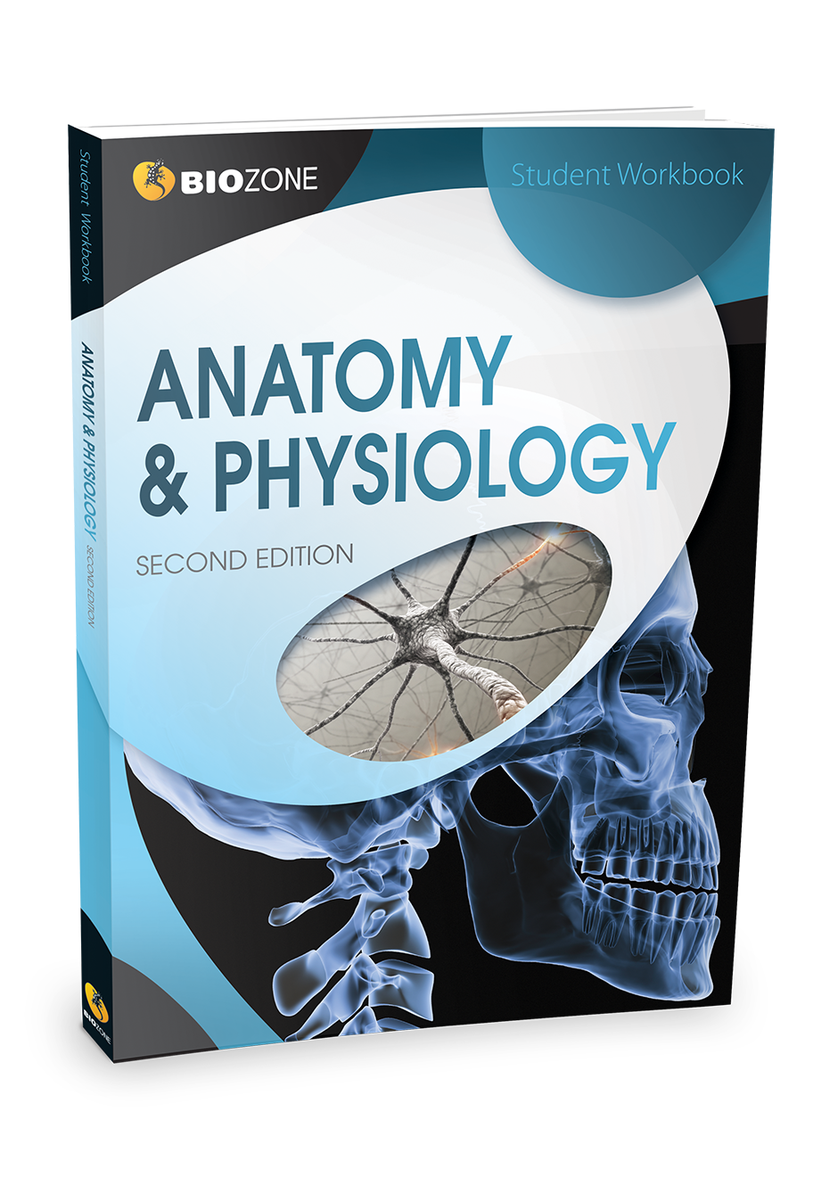 Anatomy And Physiology 2nd Edition - Student Edition - BIOZONE