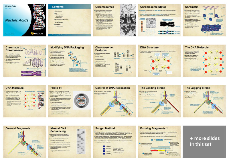 Ib Biology 2nd Edition Presentation Media Slides Biozone 9310