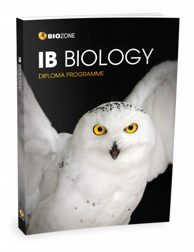 IB3 3D Book