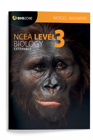 NCEA Level 3 Biology Externals Model Answers cover
