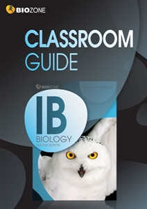 IB classroom guide
