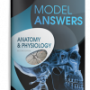 anatomy and physiology model answers