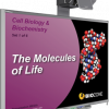 cell biology presentation slides
