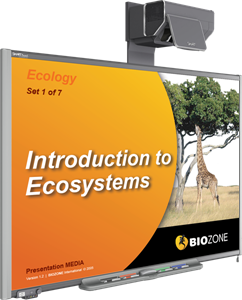 ecology title as presentation media