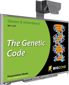 genes and inheritance presentation slides