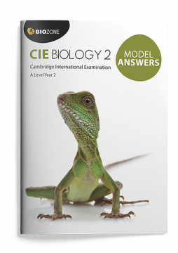 CIE2 Cover