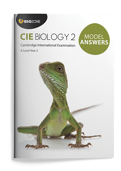 CIE2 Cover