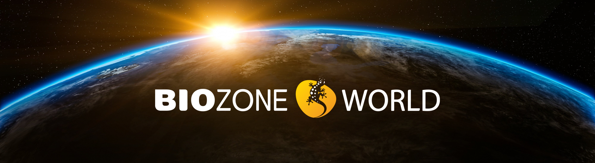 Biozone World logo