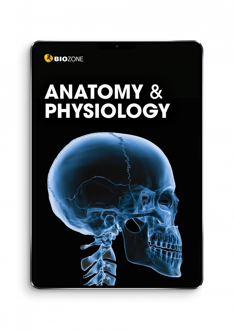 Anatomy and Physiology Ebook