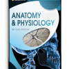 ANP2 anatomy