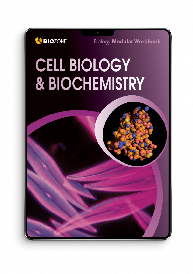 cll biology and biochem