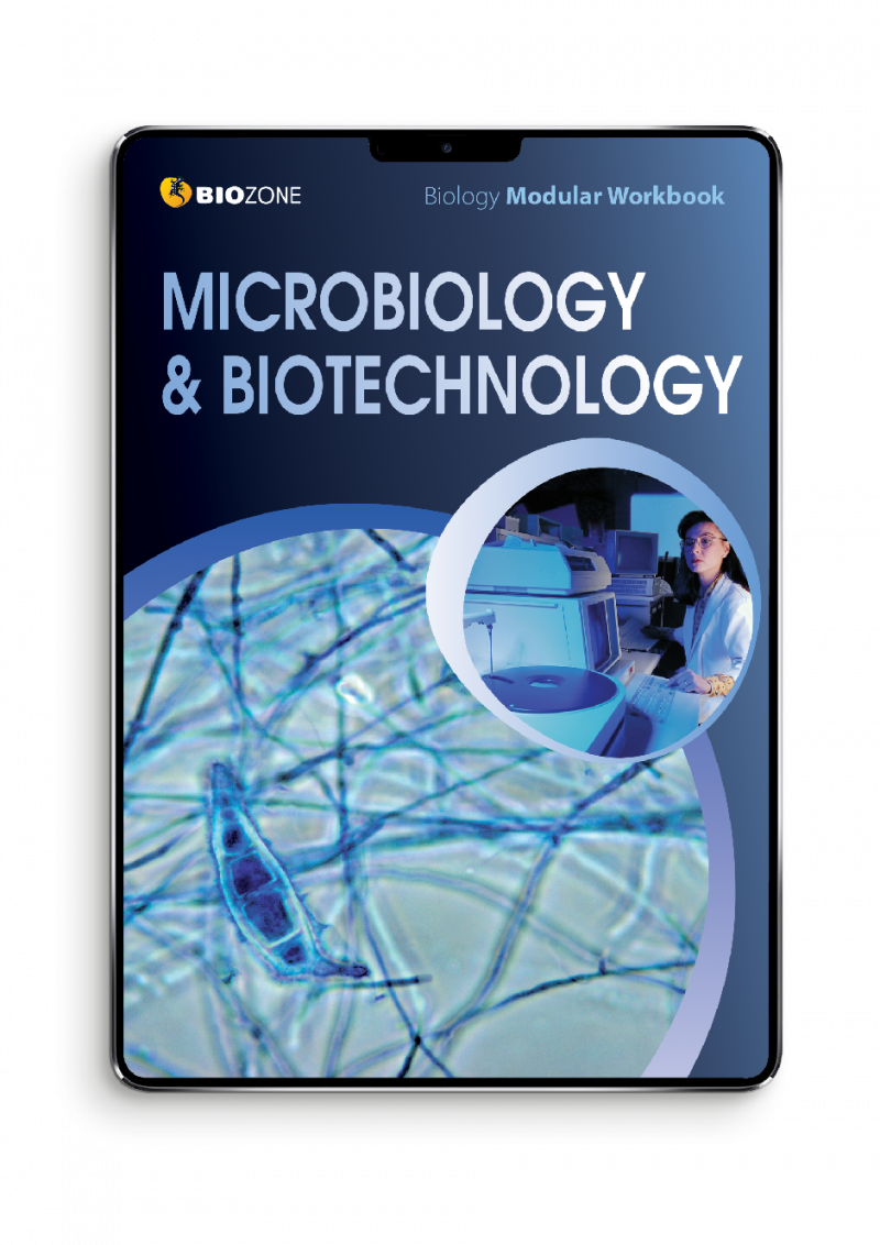 micro bio