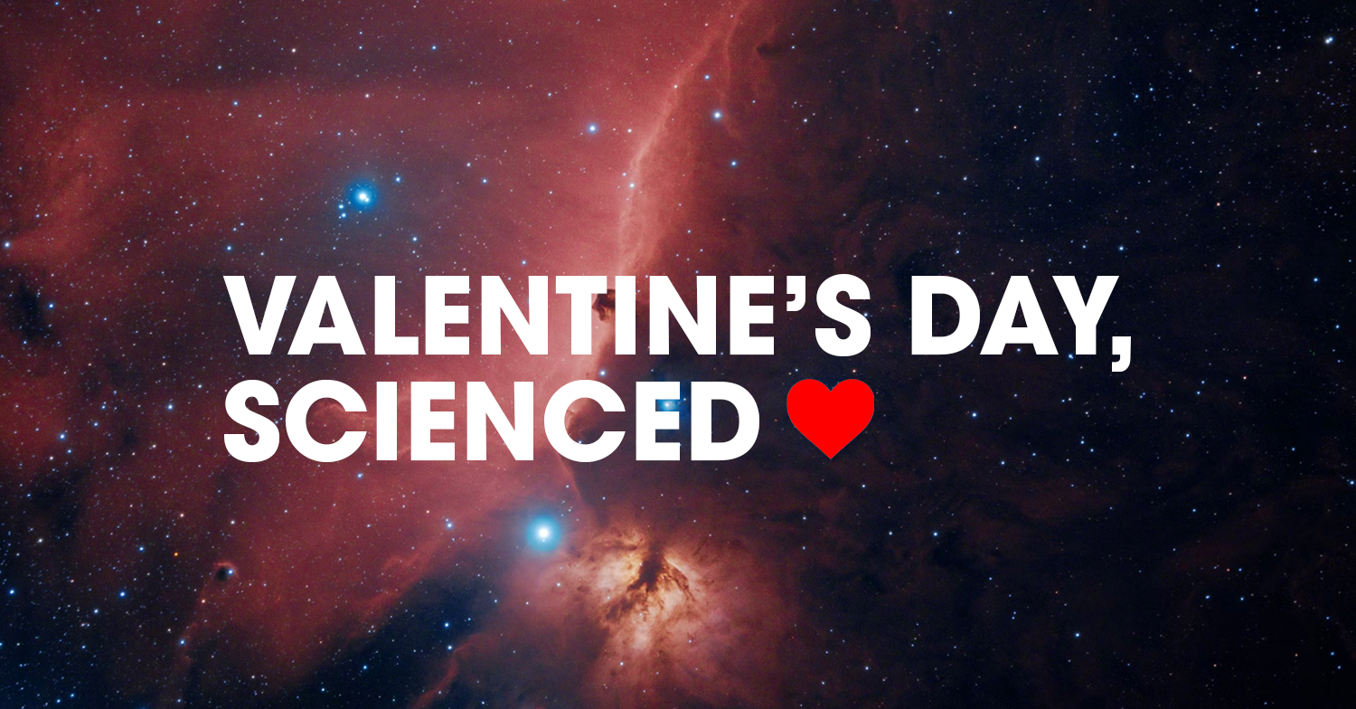 Valentine’s Day: SCIENCED