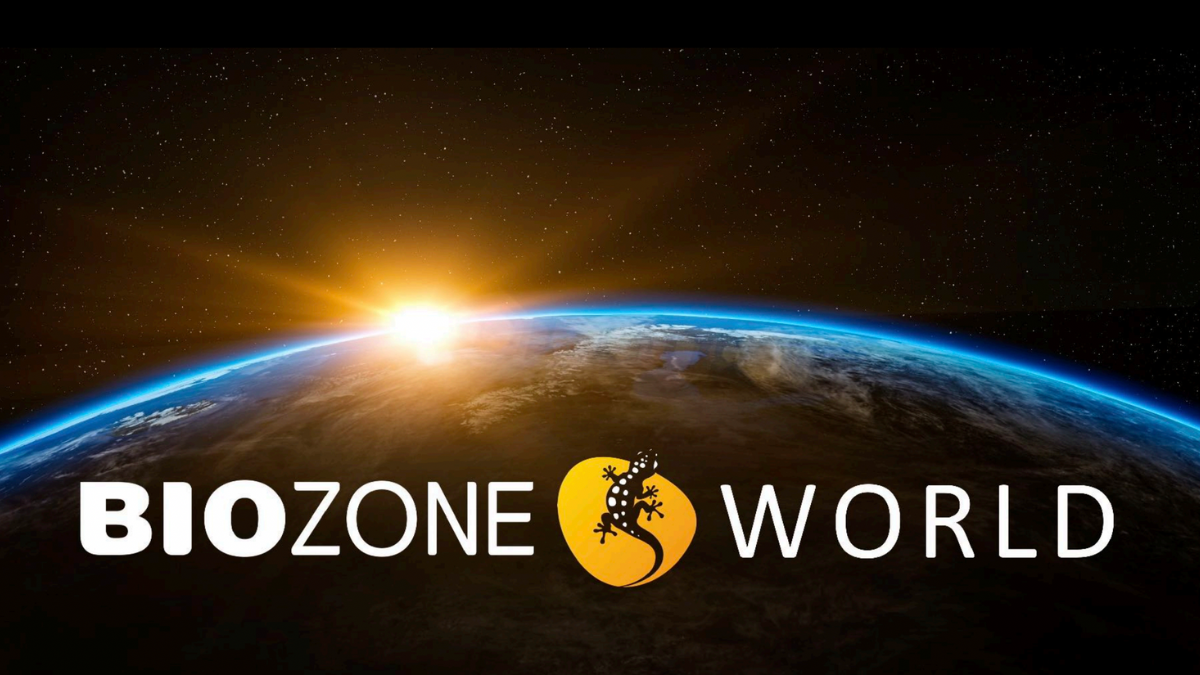 Biozone world