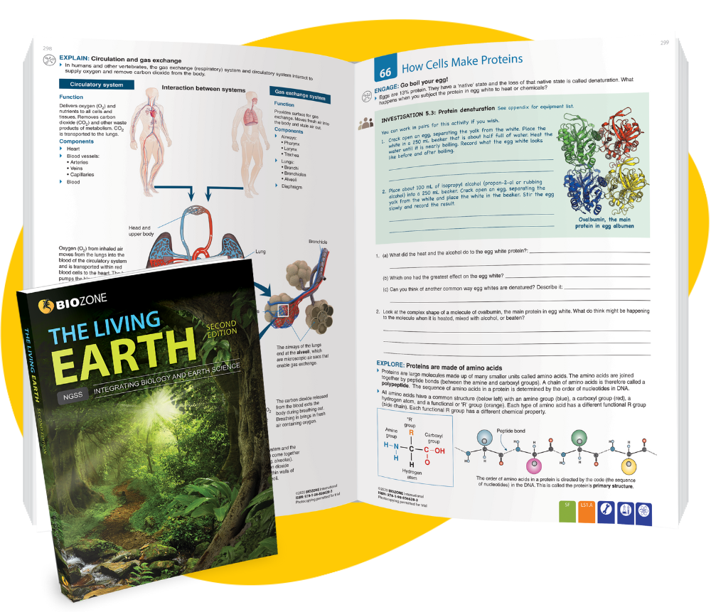 The living earth for integrated ngss