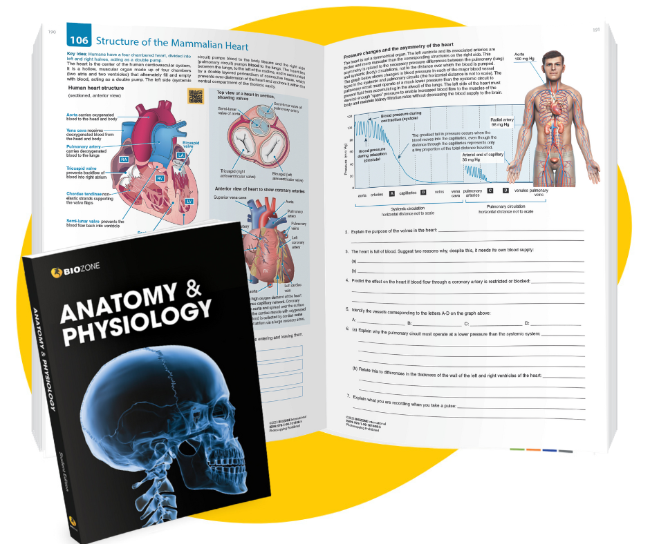 Anatomy & physiology resources